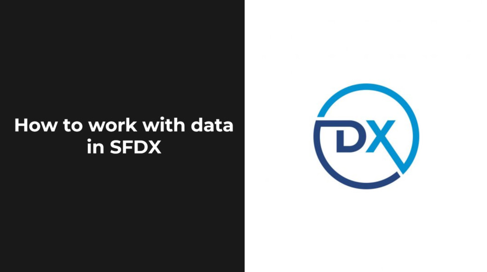 How to work with data in SFDX